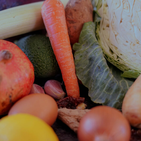 Revisión | Alimentación