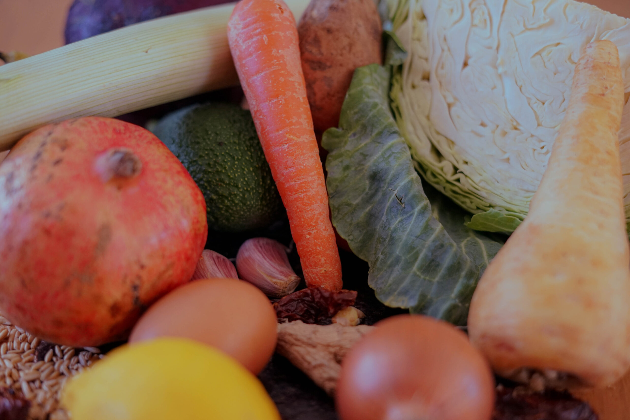 Revisión | Alimentación